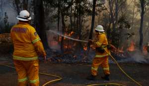 Лесные пожары в Австралии добрались до Сиднея. Фото: ruvr.ru
