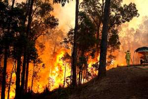  Пожары в Австралии Фото: Evan Collis / AP