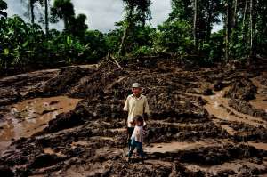 Вырубка лесов в Перу. Фото: http://www.meteoprog.ua
