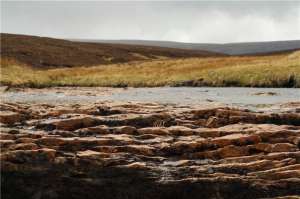 Ложе высохшей реки в торфяном нагорье в Северной Англии. (Фото: Catherine Moody)