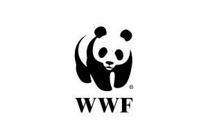 WWF. Фото: http://www.letsintern.com