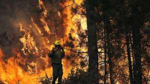 Лесные пожары в Калифорнии. Фото: http://ntv.ru