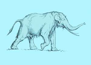 Прямобивневый лесной слон (Paleoloxodon antiquus) / H.Osborn, Men of the Old Stone Age, 1916 / Wikimedia Commons