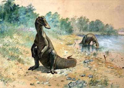 Историческая реставрация гадрозавра (Hadrosaurus mirabilis), 1897 / Charles R. Knight (1874-1953) / Wikimedia Commons