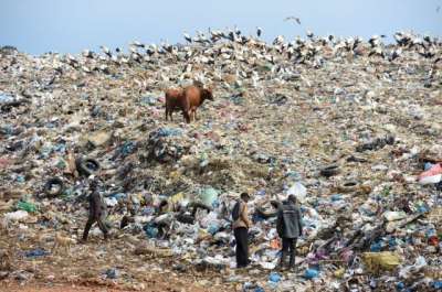 Более трети всех отходов генерируют 16% населения из стран с наиболее высоким уровнем жизни
