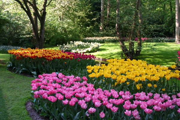 Королевский парк цветов